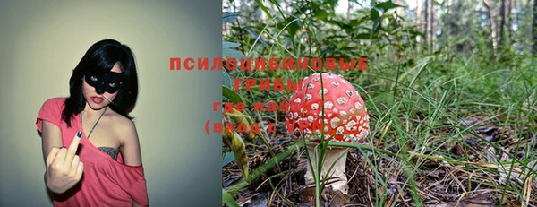 ECSTASY Алексеевка