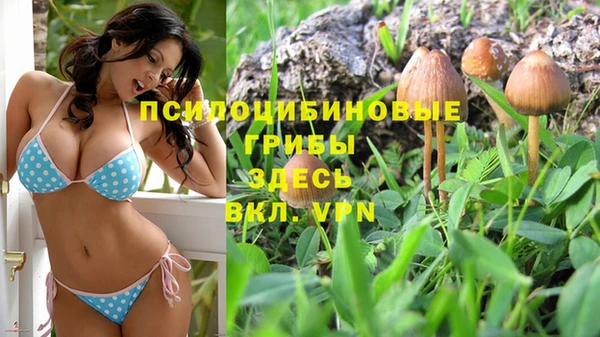скорость Алзамай