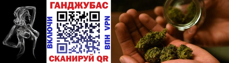 где найти   Нововоронеж  Канабис индика 
